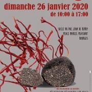 Bourges 2020 icone